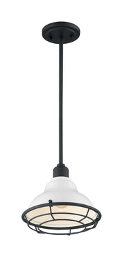 Newbridge 10" Outdoor Pendant in Gloss White and Black