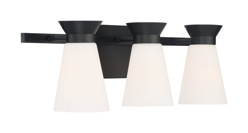 Caleta 3-Light Bath Vanity Light in Black