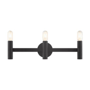 Copenhagen 3-Light ADA Bath Vanity Light in Black