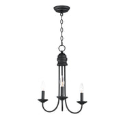 Logan 3 Light Candle Chandelier in Black