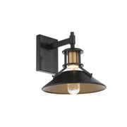 Sleepless LED Wall Light in Black & Aged Brass - Lamps Expo