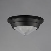 Hargreaves 1 Light Flush Mount in Black