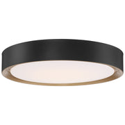 Malaga Color Selectable 19.75" Flush Mount in Matte Black