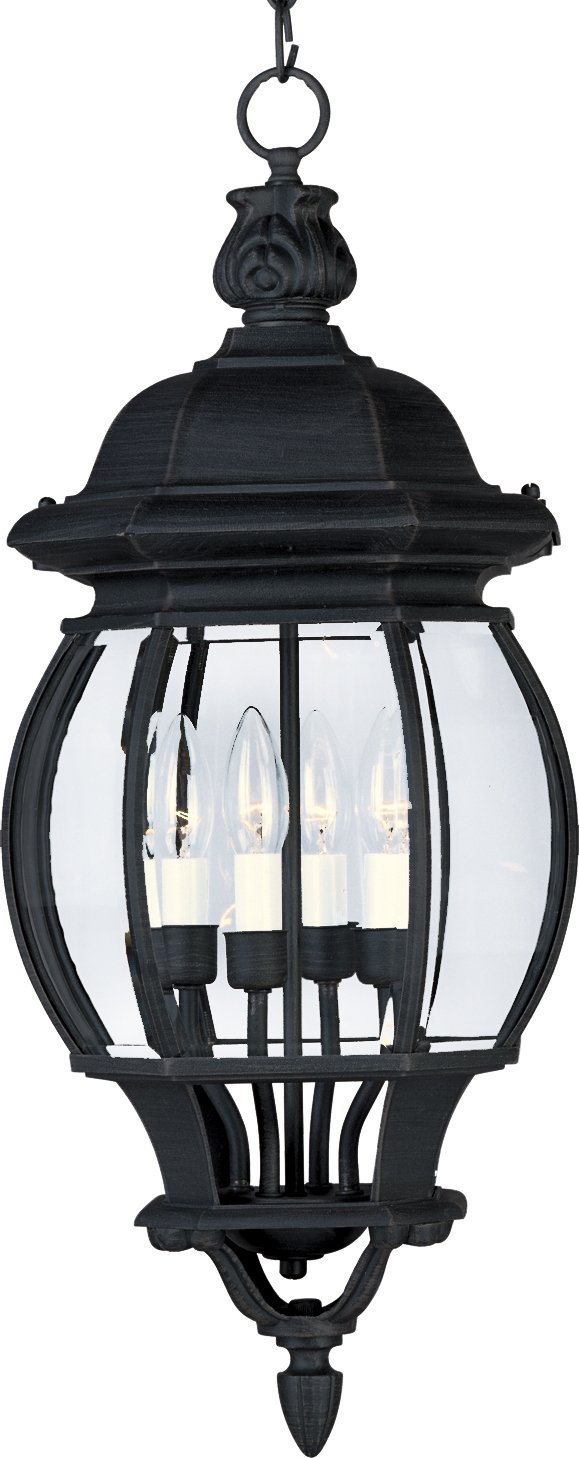 Crown Hill 4 Light Outdoor Hanging Lantern in Black