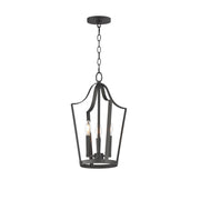 Arden 3 Light Pendant in Black