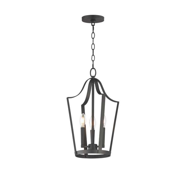 Arden 3 Light Pendant in Black