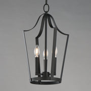 Arden 3 Light Pendant in Black