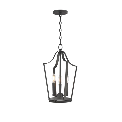 Arden 3 Light Pendant in Black
