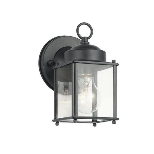 Small Outdoor Wall Lantern with Clear Glass in Black
