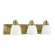 Springfield 3-Light Bath Vanity Light in Antique Brass