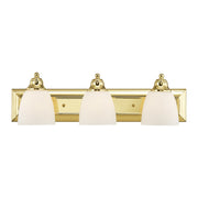 Springfield 3-Light Bath Vanity Light in Polished Brass
