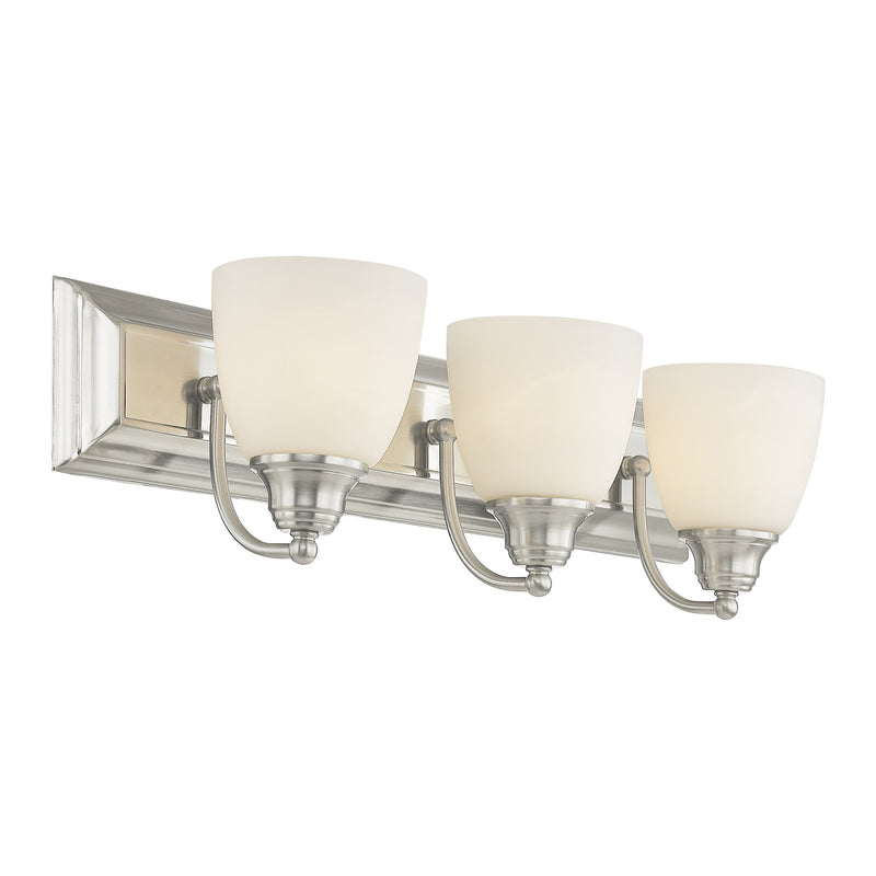 Springfield 3-Light Bath Vanity Light in Brushed Nickel