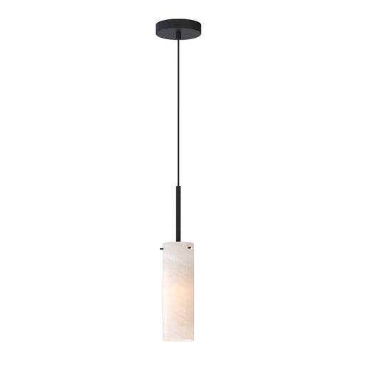 Blizzard 1 Light Pendant in Black