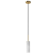 Blizzard 1 Light Pendant in Natural Aged Brass