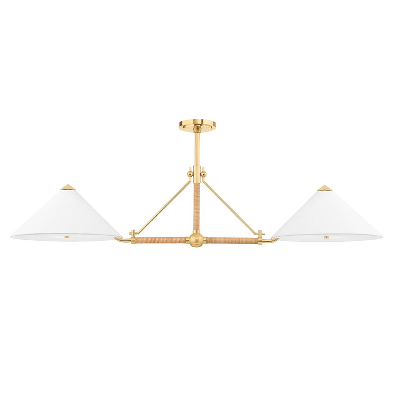 Williamsburg 4-Light Linear Pendant in Aged Brass