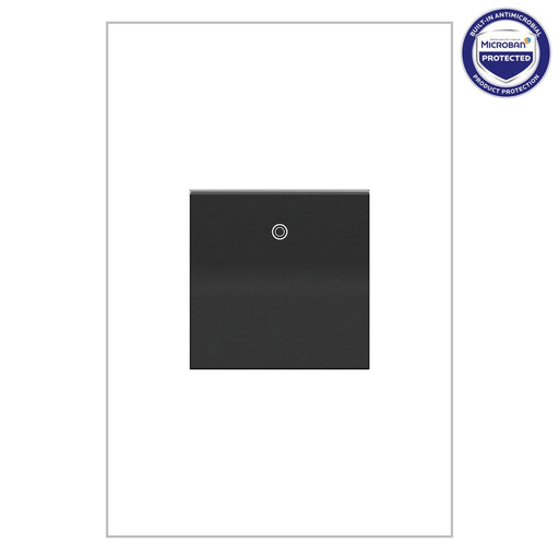 adorne 15A Paddle Switch with Microban in Graphite