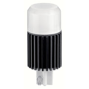 T5 Wedge 2W LED Landscape Lamp in 2700K