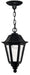 1412BK - Manor House Medium Hanging Lantern in Black by Hinkley Lighting