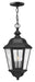 1672BK - Edgewater Large Hanging Lantern by Hinkley Lighting