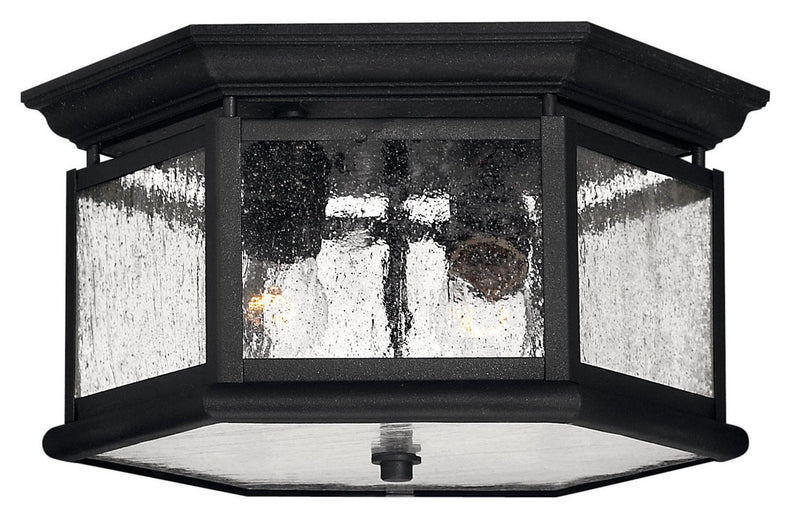 Edgewater 2-Light Outdoor Flush Mount in Black