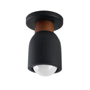 Pompeii 1 Light Flush Mount in Lava / Black