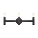 Copenhagen Three Light Vanity in Black