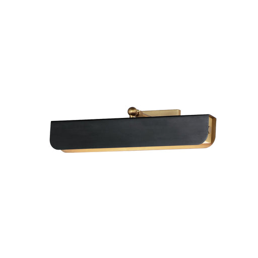 Miles 18" Articulating LED Picture Light in Black / Natural Aged Brass