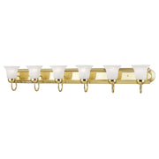 Rivera 6-Light 48" Bath Vanity Light with Full Backplate in Polished Brass