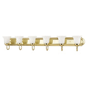 Rivera 6-Light 48" Bath Vanity Light with Full Backplate in Polished Brass