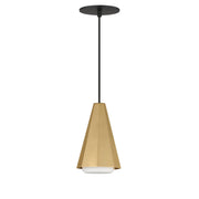 Rizzo 1 Light Mini Pendant in Black / Antique Brass