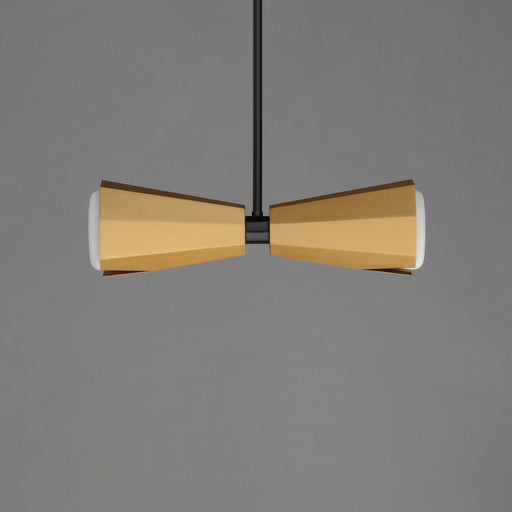 Rizzo 2 Light Linear Pendant in Black / Antique Brass
