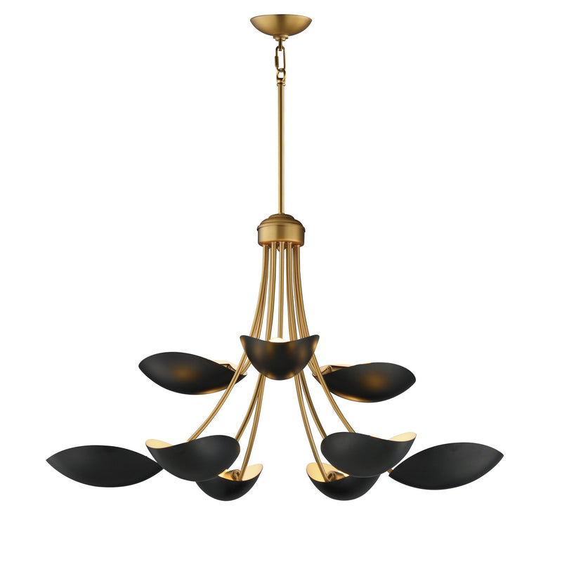 Maris 9 Light Chandelier in Black / Natural Aged Brass