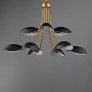 Maris 9 Light Chandelier in Black / Natural Aged Brass