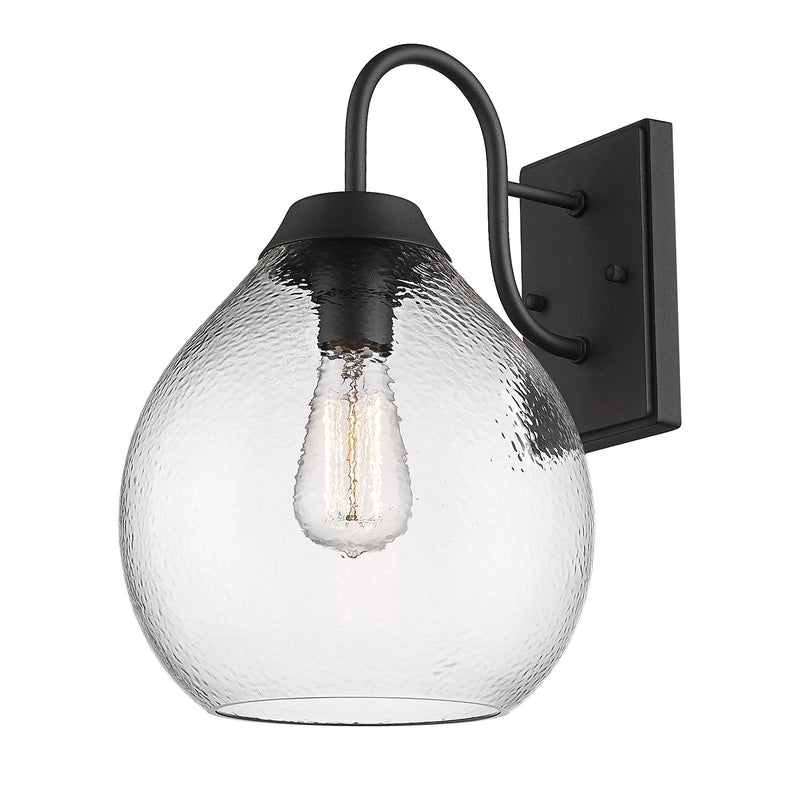 Ariella Outdoor Wall Sconce in Natural Black