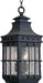 Nantucket 3-Light Outdoor Hanging Lantern in Country Forge - Lamps Expo