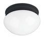 Essentials - 588x One Light Flush Mount in Black