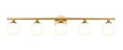 Neoma 5 Light 38.25" Vanity in Modern Gold