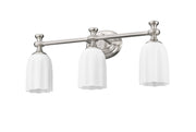 Orion 3 Light 22" Vanity in Brushed Nickel
