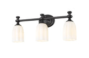 Orion 3 Light 22" Vanity in Matte Black