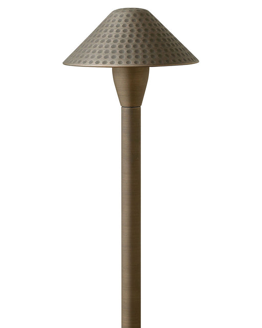 Hardy Island Small Hammered LED Path Light in Matte Bronze