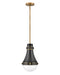 Oliver LED Pendant in Black