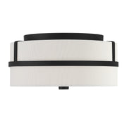 2-Light Ceiling Light - Lamps Expo