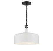 1-Light Pendant - Lamps Expo