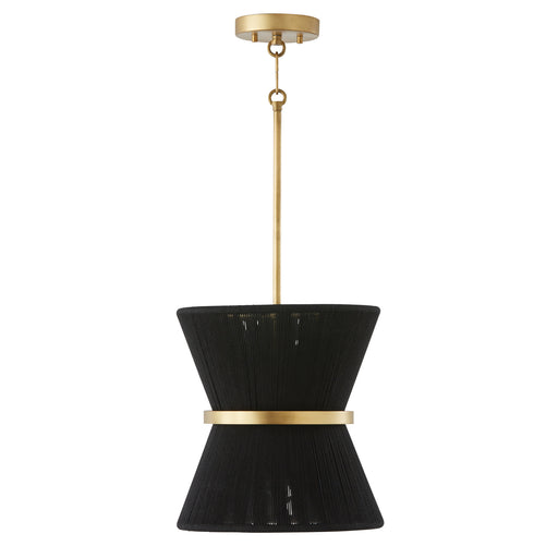 Cecilia 1-Light Pendant in Black Rope and Patinaed Brass - Lamps Expo
