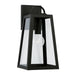Leighton 1-Light Outdoor Wall Lantern in Black - Lamps Expo