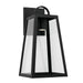 Leighton 1-Light Outdoor Wall Lantern in Black - Lamps Expo