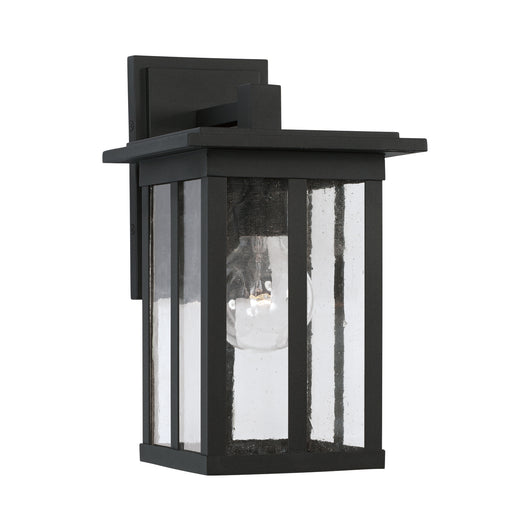 Barrett 1-Light Outdoor Wall Lantern in Black - Lamps Expo