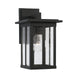 Barrett 1-Light Outdoor Wall Lantern in Black - Lamps Expo