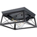 Briarwood Two Light Flush Mount in Textured Black