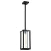 Parks Soft Contemporary Pendant in Textured Black